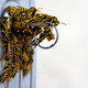 Illustration for article titled Shooting Challenge: Bugs 4
